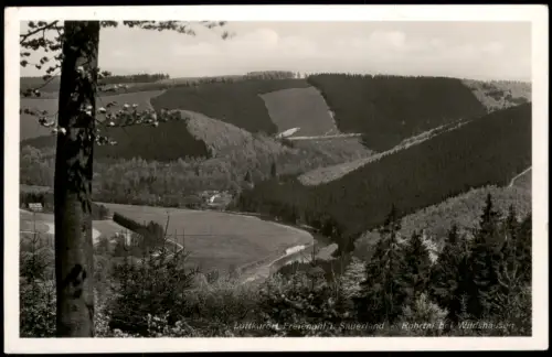 Ansichtskarte Freienohl-Meschede Ruhrtal bei Wildshausen 1950