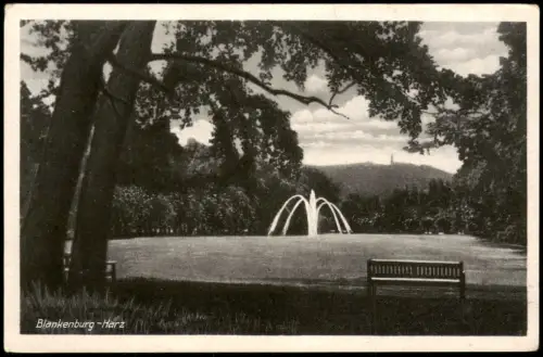 Blankenburg (Harz) Parkanlage mit Springbrunnen und Parkbank 1960