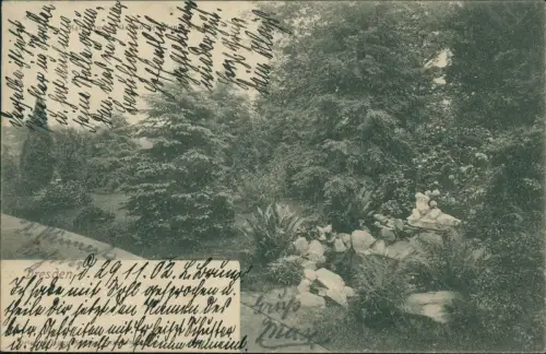 Seevorstadt-Ost/Großer Garten-Dresden Großer Garten Steingarten 1902