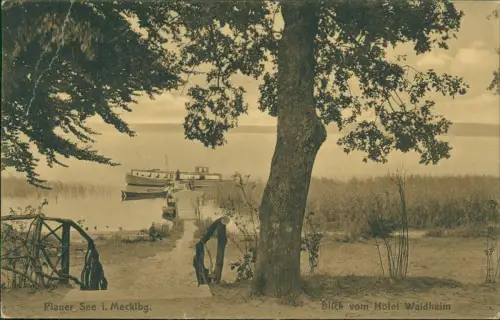 Ansichtskarte Plau (am See) Blick vom Hotel Waldheim Boot 1920