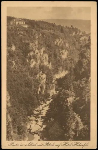 Ansichtskarte Albbruck Albtal mit Blick auf Hotel Hohenfels 1899