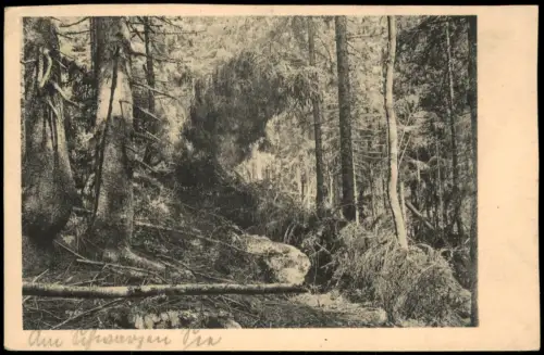 Markt Eisenstein Železná Ruda Wilder Wald am Schwarzen See 1899