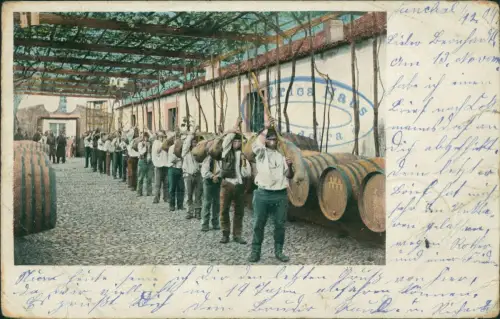 Postcard Funchal Arbeiter bei den Weinfässern 1904