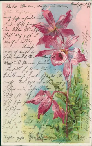 Ansichtskarte  Künstlerkarte rosa Blumen 1908 Prägekarte