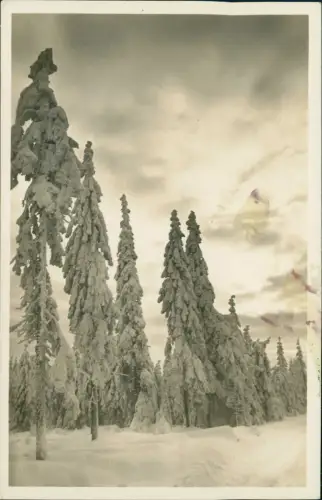 Ansichtskarte Auersberg (Erzgebirge) Winter am Auersberg 1940