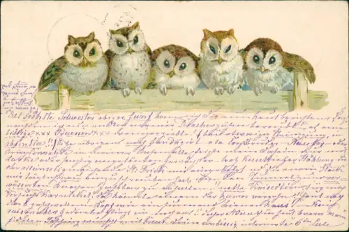 Ansichtskarte  Tiere: Eule junge Uhu auf dem Zaun Künstlerkarte 1899