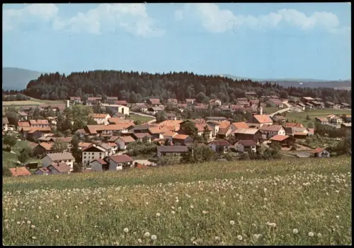 Ansichtskarte Bischofsmais Panorama-Ansicht 1970