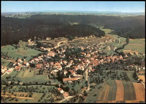 Ansichtskarte Trichtingen (Epfendorf) Luftbild Luftaufnahme Trichtingen 1965