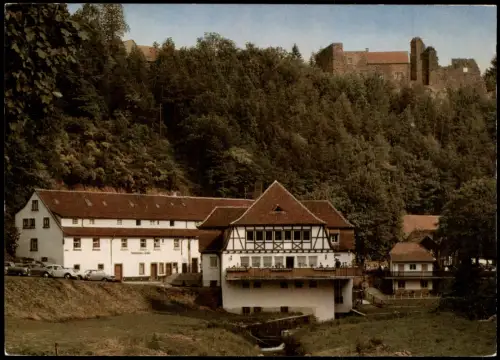 Trippstadt Klug'sche Mühle und Burgruine Wilenstein Karlstal Pfälzer Wald 1965