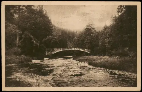 Ansichtskarte Schwarzburg Steinerne Brücke beim Schweizerhaus 1910