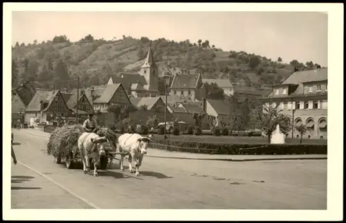 Foto Bad Orb Ochsengespann mit Heuwagen 1950 Privatfoto