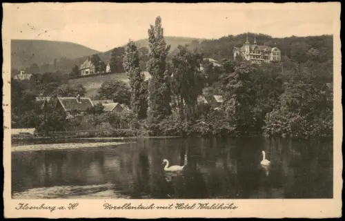 Ansichtskarte Ilsenburg (Harz) Forellenteich mit Hotel Waldhöhe 1937