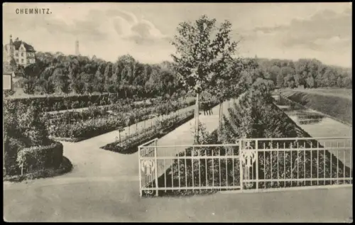 Ansichtskarte Chemnitz Park-Ansicht, Allee-Bäume, Anlage 1910