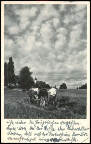 Ansichtskarte  Bauer mit Pferdegespann bei der Feldarbeit 1939