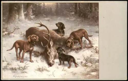 Künstlerkarte Jagdszene: Erlegter Hirsch mit Jagdhunden im Schnee 1908