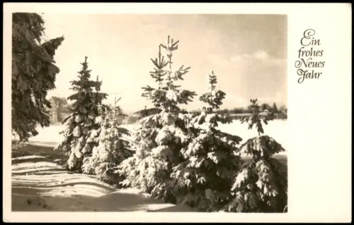 Ansichtskarte  Verschneite Tannenlandschaft 1961