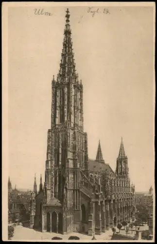 Ansichtskarte Ulm a. d. Donau Ulmer Münster 1924