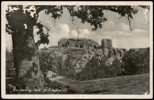 Ansichtskarte Blankenburg (Harz) Burgruine Regenstein 1953