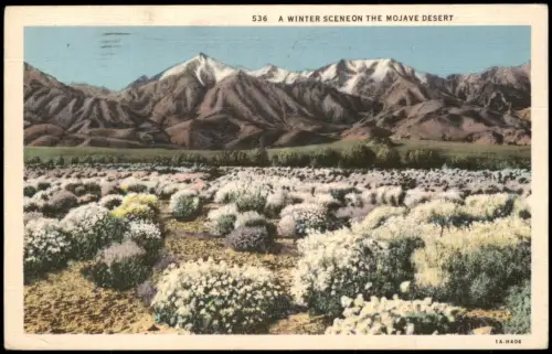 Mojave-Wüste Mojave Desert Winterliche   mit schneebedeckten Bergen 1935