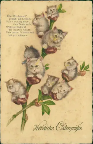 Ansichtskarte  Künstlerkarte Kätzchen als Weidenkätzchen Ostern Easter 1918