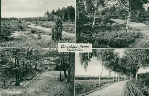 Ansichtskarte Paderborn Umlandansichten Birken 4 Bild Senne 1968