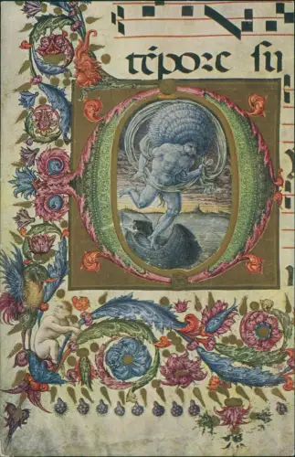 Cartolina Siena Deckengemälde Liberale da Verona - Gold 1913