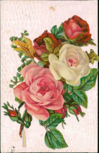 Ansichtskarte  Botanik Blumen farbige Rosen Strukturkarte 1922