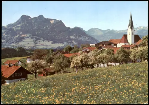Törwang-Samerberg Panorama-Ansicht Blick zum Traithengebirge 1971