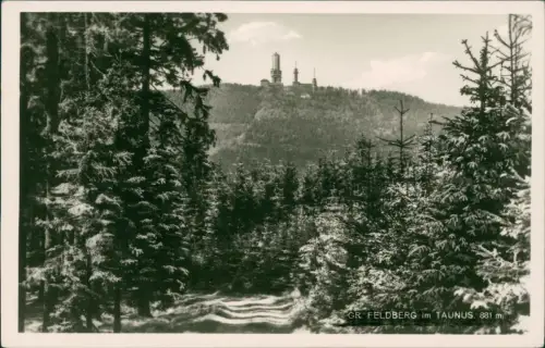 Feldberg (Schwarzwald) Waldweg - Fernblick auf den Turm Taunus 1960