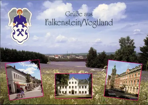 Falkenstein (Vogtland) Mehrbildkarte mit Stadtansichten, und Rathaus 1995