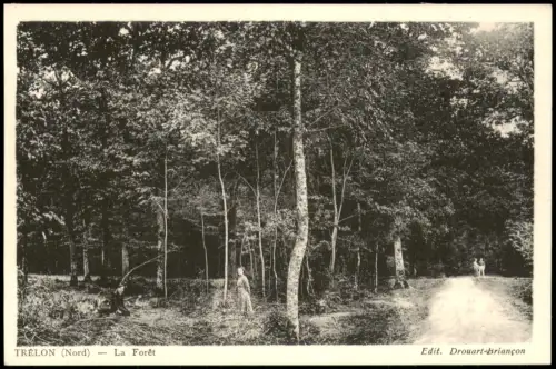 CPA Trélon Waldansicht 'La Forêt' in Trélon 1910