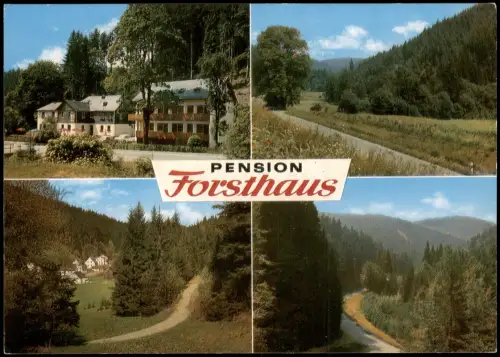 Thiemitz (Frankenwald) Mehrbild-AK mit Gaststätte Pension Zum Forsthaus 1977