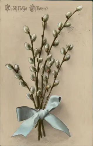 Ansichtskarte  Ostern Easter Weidenkätzen mit Schleife gebunden 1911