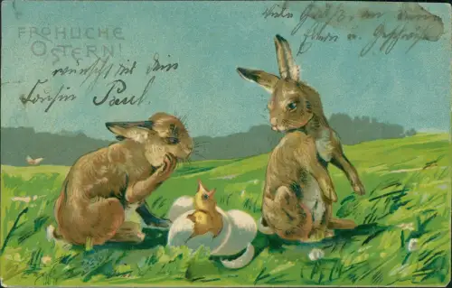 Ostern Easter Osterhasen bestaunen schlüpfendes Küken 1907 Prägekarte