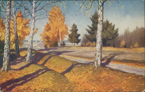 .Russland Rußland Россия Stimmungsbild Landschaft Birken 1942