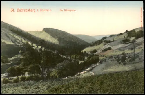 Ansichtskarte Sankt Andreasberg-Braunlage Der Wäschgrund 1909