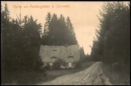 Zinnwald-Georgenfeld-Altenberg (Erzgebirge) Partie am Aschergraben 1909