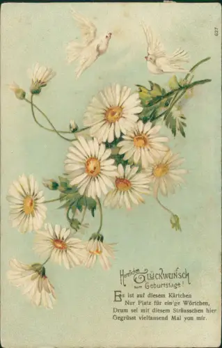 Ansichtskarte  Geburtstag Birthday Kamille und Tauben 1911 Prägekarte