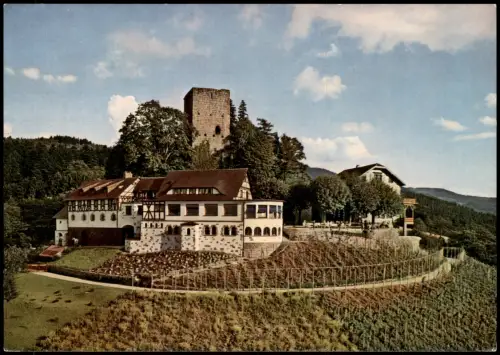 Ansichtskarte Bühl (Baden) Partie an der Alt-Windeck Ruine 1965