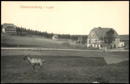 Ansichtskarte Oberbärenburg-Altenberg (Erzgebirge) Ortspartie - Ziege 1912