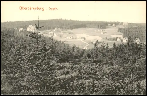 Oberbärenburg-Altenberg (Erzgebirge) Fernblick auf die Stadt 1912