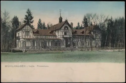 Ansichtskarte Mühlhausen (Thüringen) Prinzenhaus - colorierte AK 1907