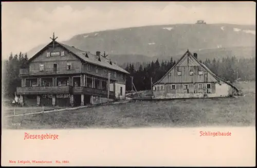 Postcard Krummhübel Karpacz Partie an der Schlingelbaude 1907