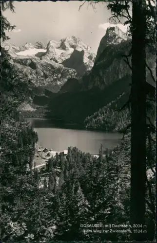 Ansichtskarte Gosau GOSAUSEE, mit Dachstein vom Weg zur Zwieselam 1961