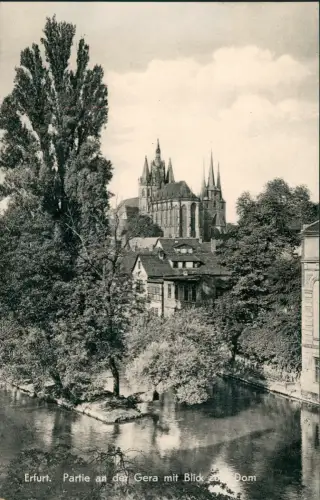 Ansichtskarte Erfurt Partie an der Gera mit Blick zum Dom 1960