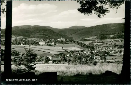 Ansichtskarte Bodenmais Stadtblick Fotokarte 1962