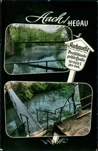 Ansichtskarte Hegau 2 Bild Aachquelle - Colorfoto AK 1962