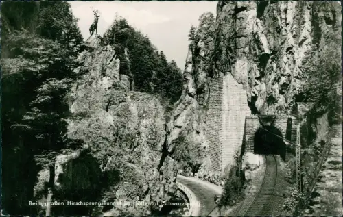 Ansichtskarte Hirschsprung-Breitnau Hirschsprung-Tunnel Eisenbahn 1961