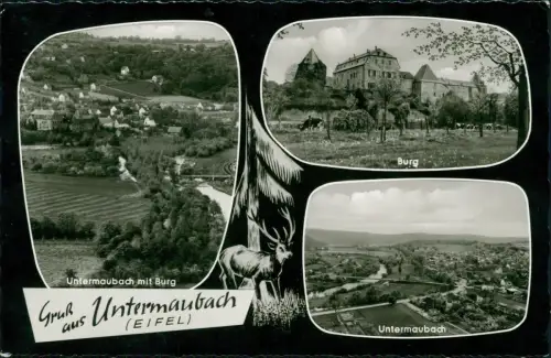 Ansichtskarte Untermaubach-Kreuzau 3 Bild Burg Luftbild 1964