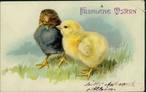 Ansichtskarte  Ostern Easter gelbes und dunkles Küken 1909